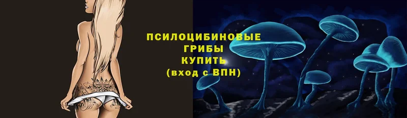 как найти закладки  Апатиты  Галлюциногенные грибы Magic Shrooms 